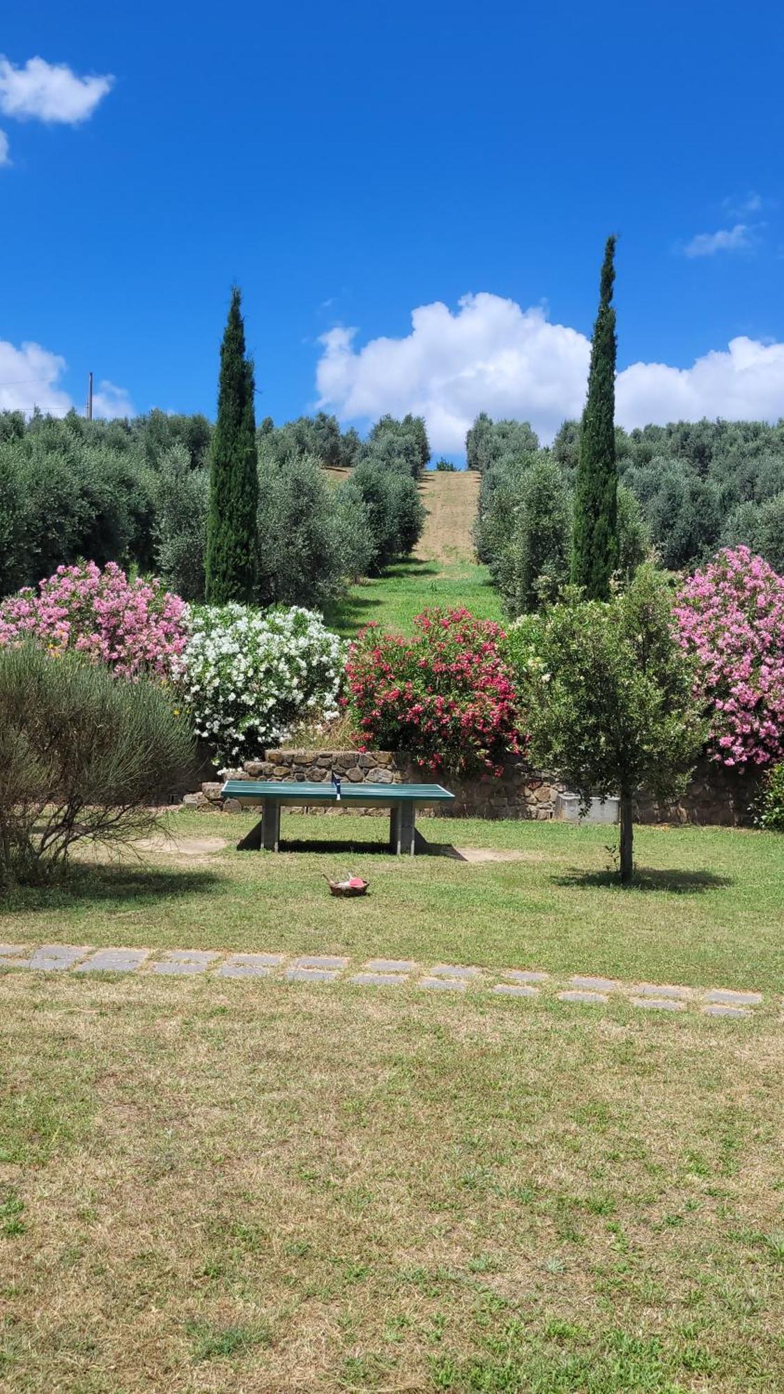Agriturismo Podere Casalone Limite Exterior photo